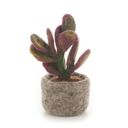 Ficus Elastica Plant: Handmade Felt Fair Trade Wool Standing Decoration
