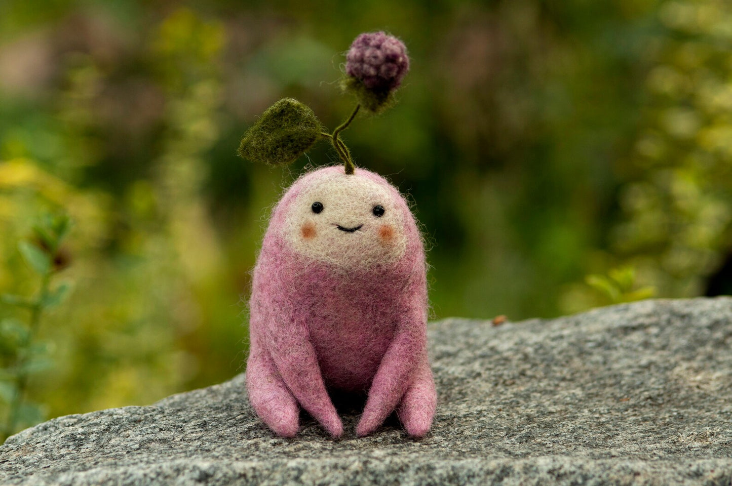 Needle Felted Blackberry, Sunflower & Grapes Creatures ~ Smiling Wool Plants ~ Handmade Nature Lover Gift