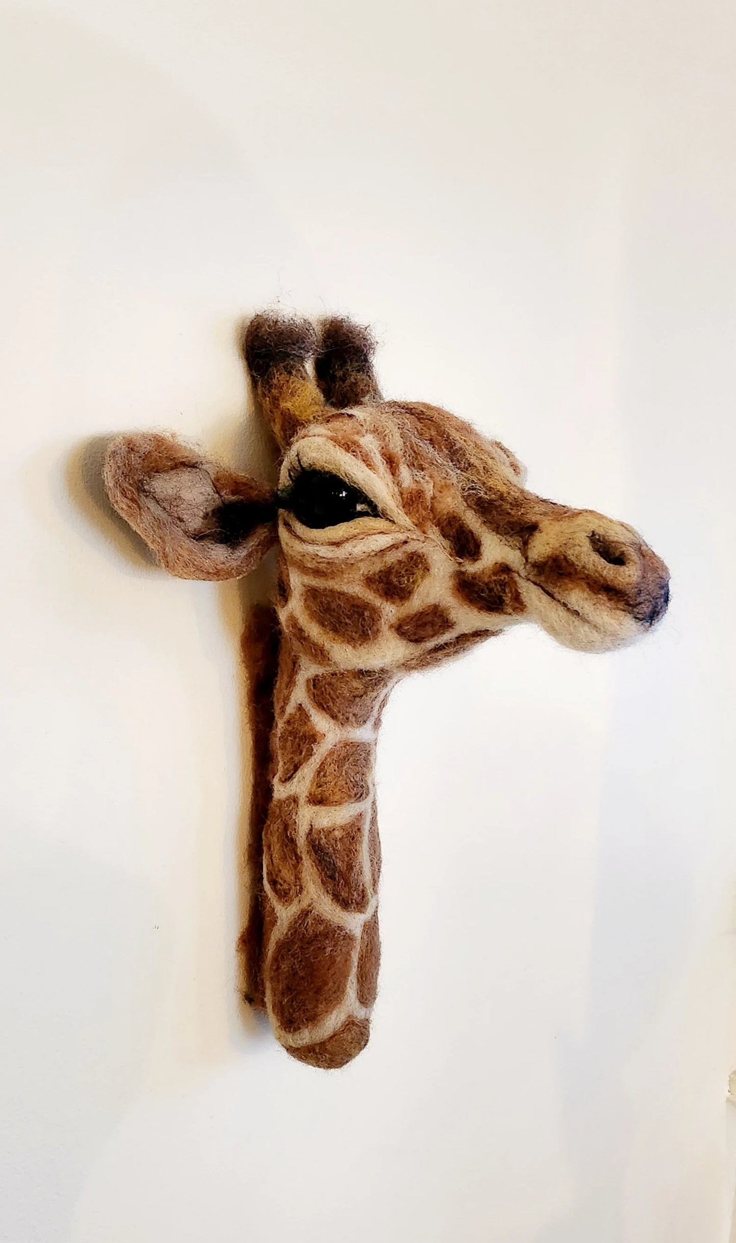 Needle Felted Giraffe Calf Head | Faux Taxidermy Fibre Art