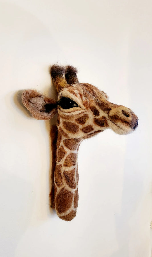 Needle Felted Giraffe Calf Head | Faux Taxidermy Fibre Art