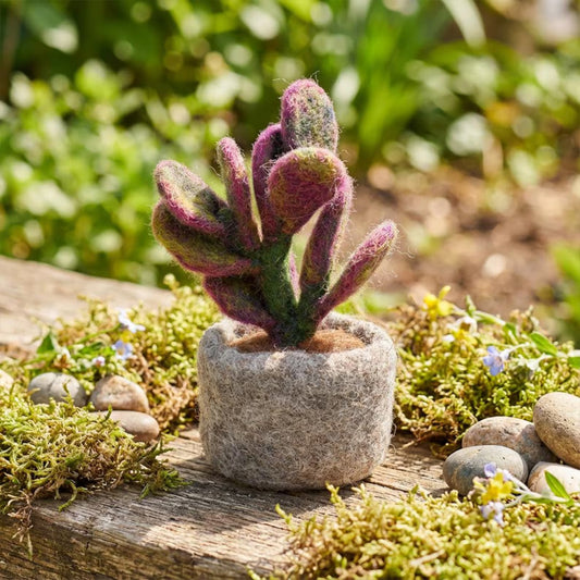 Ficus Elastica Plant: Handmade Felt Fair Trade Wool Standing Decoration