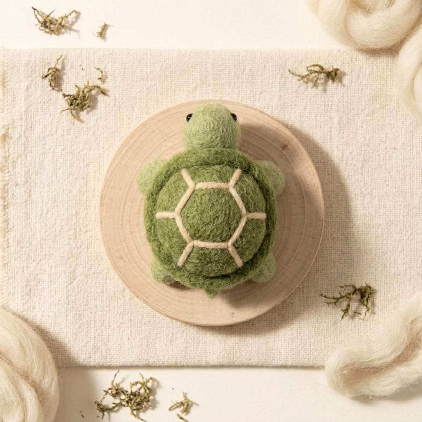 Beginner Needle Felting Kit: Sea Turtle DIY Craft Set, Wool Art Hobby