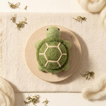 Beginner Needle Felting Kit: Sea Turtle DIY Craft Set, Wool Art Hobby