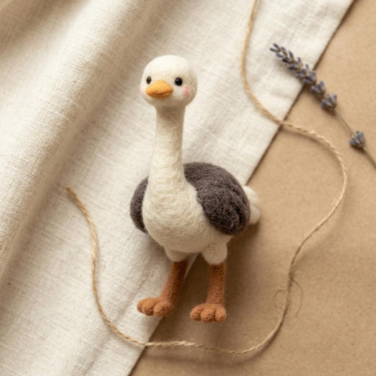 Needle Felting Kit: Beginner Ostrich Craft Set, DIY Bird Felt Ornaments