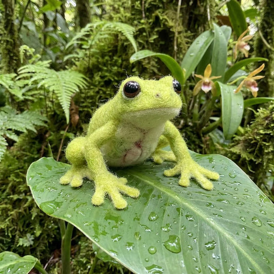 Needle Felt Rainforest Frog Figurine Collection, Wool Poison Dart Frog Decor, Frog Lover Gift